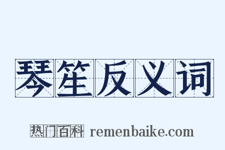 琴笙反义词是什么意思的图片